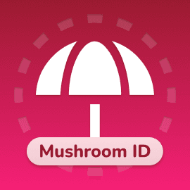 Mushroom ID
